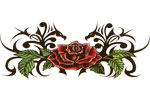 Rose et dragons