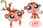PetShop Singes