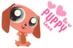 PetShop Chiot