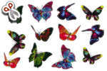 43 Papillons