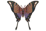 Papillon brun paillettes