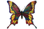 Papillon pastel