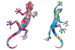 Geckos colorés