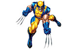 Wolverine grand
