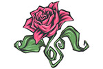 Rose stylée