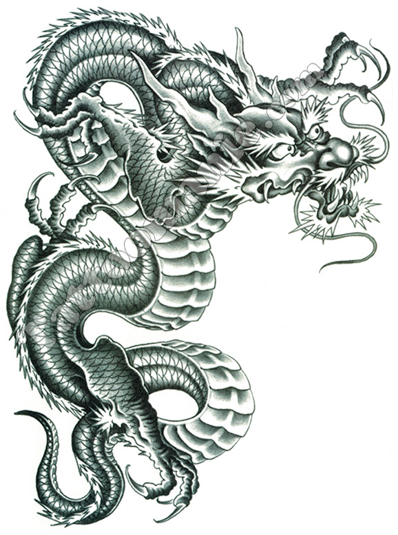tatouage temporaire dragon chinois géant sur tattoomanie